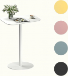 FLEXISPOT kaasaegne terasest k&uuml;ljelaud, 38 x 50 x 65 cm, aialaud &uuml;mmarguse alusplaadiga, vastupidav, ilmastikukindel, 5 v&auml;rvi, r&otilde;dule, terrassile ja aeda (valge)