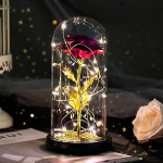 Gifts for Women Beauty and the Beast Rose Birthday Gift for Women Eternal Rose in Glass Gifts for Mum Girls Grandma Wife Gift Girlfriend Birthday Anniversary Christmas Valentine's Day