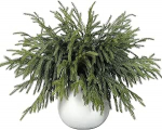 45 cm kunstlikud kuuseoksad, 16 Norfolk m&auml;nni oksad, j&otilde;ulud, igihaljad kuuseoksad advendip&auml;rja kaunistamiseks oksad j&otilde;uludeks, DIY, garland, p&auml;rg (16 tk)