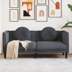 Mengtu 2-kohaline diivan koos pehmendusega Diivan Diivan Double Diivan Lounge Diivan Polsterdatud diivan Relax diivan K&uuml;lalissohv Diivan Loveseat Diivan elutuppa Magamistuba K&uuml;lalistetuba Tumehall Velvet