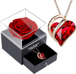 Eternal Rose Box, Infinity Roses with Women's Chain, Preserved Red Rose, Real Rose Gift, 925 Sterling Silver Women's Crystal Heart Necklace, Women's Pendant Gift for Valentine's Day, Christmas,