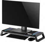 Ewent Monitor Stand, RGB Monitor Riser, Foldable, Smartphone and Tablet Holder with Storage Compartment and 4 USB Ports, Ergonomic Printer Stand for Laptop, Computer, Notebook, iMac, PC, Black