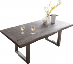 DELIFE s&ouml;&ouml;gitoa laua serva akaatsia plaatina 200 x 100 XL roostevabast terasest laia servaga