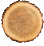 Lauakomplekt 4 taldrikut, puidumassist taldrikud, taldrikud k&ouml;&ouml;gi jaoks, beežikas pruun, stiil 1, 38 cm
