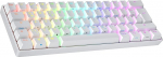 Ranked N60 Nova mehaaniline 60-protsendiline klaviatuur, Hotswap m&auml;nguklaviatuur, 62 programmeeritavat klahvi RGB valgustusega, PC/Mac Gamer, ISO DE QWERTZ (valge, Gateron Brown)