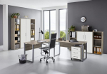 moebel-dich-auf.de Tabor Pro 5 Study Room in Various Colours (Sonoma Oak / Matte White)