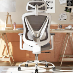 HOLLUDLE Ergonoomiline kontoritool 3D nimmetoe ja 3D reguleeritavate k&auml;etugedega - V-kujuline selja disain, mugav t&ouml;&ouml;laua tool kontorisse ja koju, valge