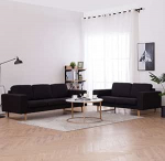 ZEYUAN 2-osaline diivanikomplekt, diivanvoodi, diivanvoodi, magamisfunktsiooniga diivan, l&otilde;&otilde;gastav diivan, diivanid ja diivanid, kangas, must