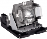 BL-FU310B/5811118436-SVV asendusprojektorilamp koos korpusega OPTOMA EH500 X600 BR561 VIVITEK D966HD D967 D968U projektoritele