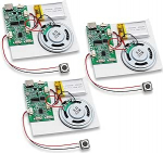 3 USB helimooduli pakett, DIY helimoodul kuni 8 m m&auml;lu, muusika h&auml;&auml;le salvestamise moodul koos k&otilde;lariga MP3, laetav aku, MP3 helikiibi moodul DIY kaartidele, m&auml;nguasjadele, loomingulistele kingitustele