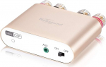 Nobsound NS-10G PRO Hi-Fi DSP 100W x 2 digitaalne Bluetooth-v&otilde;imendi 2.0 kanaliga Stereo Power Audio Amp koduk&otilde;laritele Upgrade Version Mini Digital Amplifier (kuldne)