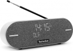 TechniSat DIGITRADIO BT 2 - kaasaskantav Premium Bluetooth-k&otilde;lar DAB+ digitaalraadio (FM, kell, veekindel korpus, lemmikute m&auml;lu, AUX-in, aku, 20 Watt) helehall