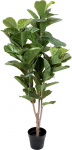 54 lehega kunstlik Fiddleleaf puu Real Touch 54 lehte 150cm