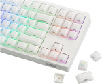 EPOMAKER Lusterfly Jelly Keycaps Set - 123 klahvi Double-Shot, MDA profiil, ABS+PC, mitte-l&auml;bipaistev, MX &uuml;hilduv 61/68/84/87/98/100/104 klahvide mehaanilisele klaviatuurile.