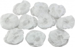 K&otilde;rvaklappide k&otilde;rvaklappide &uuml;hekordsed katted tolmukindlad k&otilde;rvaklapid Stretchy Ear Pad Cover Protector (valge, 10 paari)