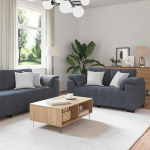 Fasba 2-teiliges Sofa-Set mit Kissen, dunkelgrauer Samt, Polstersofa Moderne Relax-Couch f&uuml;r Wohnzimmer Schlafzimmer Hobbyraum3324750
