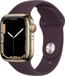 Apple Watch Series 7 (GPS + mobiilside, 41 mm) - kuldne roostevabast terasest korpus ja tumekarva spordirihm (uuenenud)