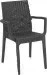 Areta ARE056 Chair, Model Dafne with Armrests, Anthracite, 55 x 54 cm