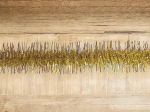 Dmora j&otilde;ulukaunistus Pasterze, j&otilde;ulukaunistus, j&otilde;ulukaunistus, pidulik kaunistus, valmistatud Itaalias, 2000 x 7 x 7 cm, kuldne