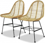 VidaXL Chaise de salle &agrave; manger 2 tk Rotin naturel