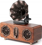 COLSUR Retro Bluetooth Vintage FM raadio toetab TF Card/AUX/USB kaasaskantav traadita iPhone Android 10W k&otilde;lar Bluetooth 5.4 1800mAh