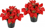 Kunstlik lill Poinsettie potis 17 cm Poinsettia j&otilde;ulut&auml;ht j&otilde;ulukaunistus j&otilde;ululilledekoratsioon kunstlill j&otilde;ulukaunistus j&otilde;ulukaunistus X'Mas kimp kingitusdekoratsioon advendiaeg