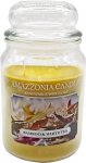 Amazzonia Candle Pink Pepper Pod Bambus 18 oz looduslik l&otilde;hnak&uuml;&uuml;nal, sojavaha k&uuml;&uuml;nal, keskkonna&otilde;hu v&auml;rskendaja, dekoratiivne valge k&uuml;&uuml;nal, klaasist Jara