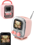 Divoom Tiivoo-2 Kaasaskantav Bluetooth-k&otilde;lar FM-raadio, Pixel Retro Mini Cute Wireless Speaker, sobib laua, kontori, magamistoa, kingituste jaoks naistele ja meestele, (roosa)
