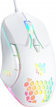 Gaming Mouse Wired PC Entry Mouse RGB taustavalgusega ja reguleeritava DPI Ergonoomiline kontori s&uuml;learvuti hiir arvuti Gamer Mouse 7 reageeriva nupuga hiire jaoks