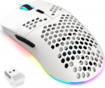 T66 PC m&auml;nguhiir, BT/2.4G traadita/juhtmega, kerge k&auml;rgstruktuur, makroprogramm, lahe RGB valgus, 650 mAh suur aku, 3600 DPI, PC m&auml;ngijatele, valge