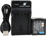 DSTE VW-VBG260 Li-ion aku ja Micro USB laadija Sobib Panasonic VBG070 AG-AC7 AG-AF100 AG-HMC40 AG-HMC80 AG-HMC150 HDC-HS250 jaoks.