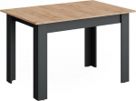 Vicco Repose s&ouml;&ouml;gilaud Antratsiit/kuldkangast tammepuust 160 x 80 cm Laiendatav paindlikuks kasutamiseks s&ouml;&ouml;gi- v&otilde;i t&ouml;&ouml;lauana.