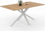 IDMarket - ALIX ristk&uuml;likukujuline s&ouml;&ouml;gilaud 8-le inimesele Spider alus puidust ja valge 160 cm