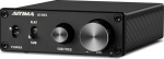 AIYIMA A1001 Mono subwooferi v&otilde;imendi 100W klassi D HiFi digitaalne v&otilde;imendi AMP koduteater koos 24V toiteallikaga