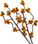 Komplekt 2 oksa koos oranžide marjadega, valmistatud vildist, painduva varrega, umbes 30 cm, k&auml;sitsi valmistatud dekoratiivsed lilled individuaalsete loomingutega, j&auml;tkusuutlik kingitus, &otilde;iglane kaubandus, realistlikud kunstlilled.