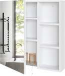 Mondeer Vannitoakapp koos peegliga, peegelkapp, vannitoa seinale paigaldatav 1 ukse ja 1 tilgutuskastiga, reguleeritavad riiulid, ventilatsiooni disain, 65 x 15 x 65 cm, valge