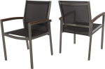 Great Deal Furniture Emma v&otilde;rgusilma ja alumiiniumraamiga s&ouml;&ouml;gitool, hall, 2 tk, hall + h&otilde;bedane