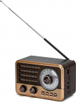 Kaasaskantav 3-bandiline raadio Bluetoothiga, MP3 m&auml;ngija, USB/TF taasesitus, LED taskulamp ja aku, akutoitega FM/AM/SW raadio v&auml;litingimustes kasutamiseks (kuldne)