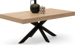 IDMarket - ALIX Ristk&uuml;likukujuline kohvilaud 110 cm Spider alus puit ja must