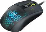 Roccat Gaming Mouse