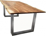 SAM Table with Tree Edge Frame Silver 200 x 100 cm