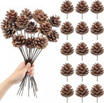 Pakend 15 looduslikust m&auml;nnikoonusornamentidest koos varrega j&otilde;ulukuuskedel j&otilde;ulupuu kaunistamiseks Vaas pidu p&uuml;had DIY k&auml;sit&ouml;&ouml;de elutoa kaunistamiseks