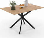 IDMarket - Table &agrave; Manger Carr&eacute;e ALIX 2-6 personnes pied araign&eacute;e Bois et Noir 80-120 cm