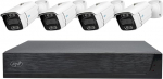 PNI House IPMAX POE 3LR Video Surveillance Kit, NVR with 4 POE Ports and 10 on the Network, 4 Cameras with 3MP, Outdoor, Power Over Ethernet, Face Detection, Motion Detection