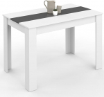 IDMarket - Rozy ristk&uuml;likukujuline s&ouml;&ouml;gilaud 4 inimesele valge ja hall 110 cm