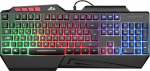 Rii Gaming Keyboard, PC Keyboard Illuminated Rainbow Keyboard USB, 19 Anti-Ghosting, Gaming Keyboard for PC/Laptop/PS4/Xbox One (German Layout)