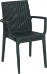 Areta AR013 Rattan Espresso Dafne Chair Plastic