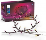 Philips Hue Festavia Fairy Lights, valge ja v&auml;rviline valgustus, timmitav, 250 mini valgusdioodi, 20 m pikkune, veekindel, &uuml;hildub Amazon Alexa (Echo & Echo Dot)