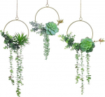 C & Z kunstlik succulent Wreath, 3 tk rippuvad kuldsed geomeetrilised garlandid roheline p&auml;rg seinadekoratsioon pulmapeo lasteaia taustaks