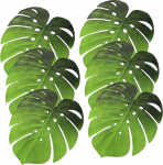 Toyvian komplekt 6 kohtade matid Monstera Leaf EVA libisemisvastane isolatsioon Coasters s&ouml;&ouml;gilaua peo kaunistamiseks Roheline